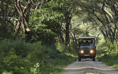 Best Road Trip Destinations In Tanzania