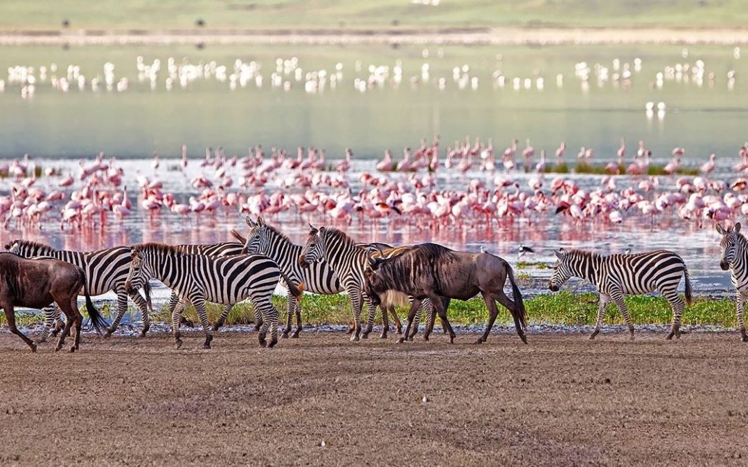 Tailor-made vacations to Lake Manyara