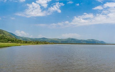 Travel Guide to Lake Manyara