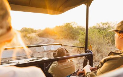 6 Essential Tanzania Travel Tips You Must Know!